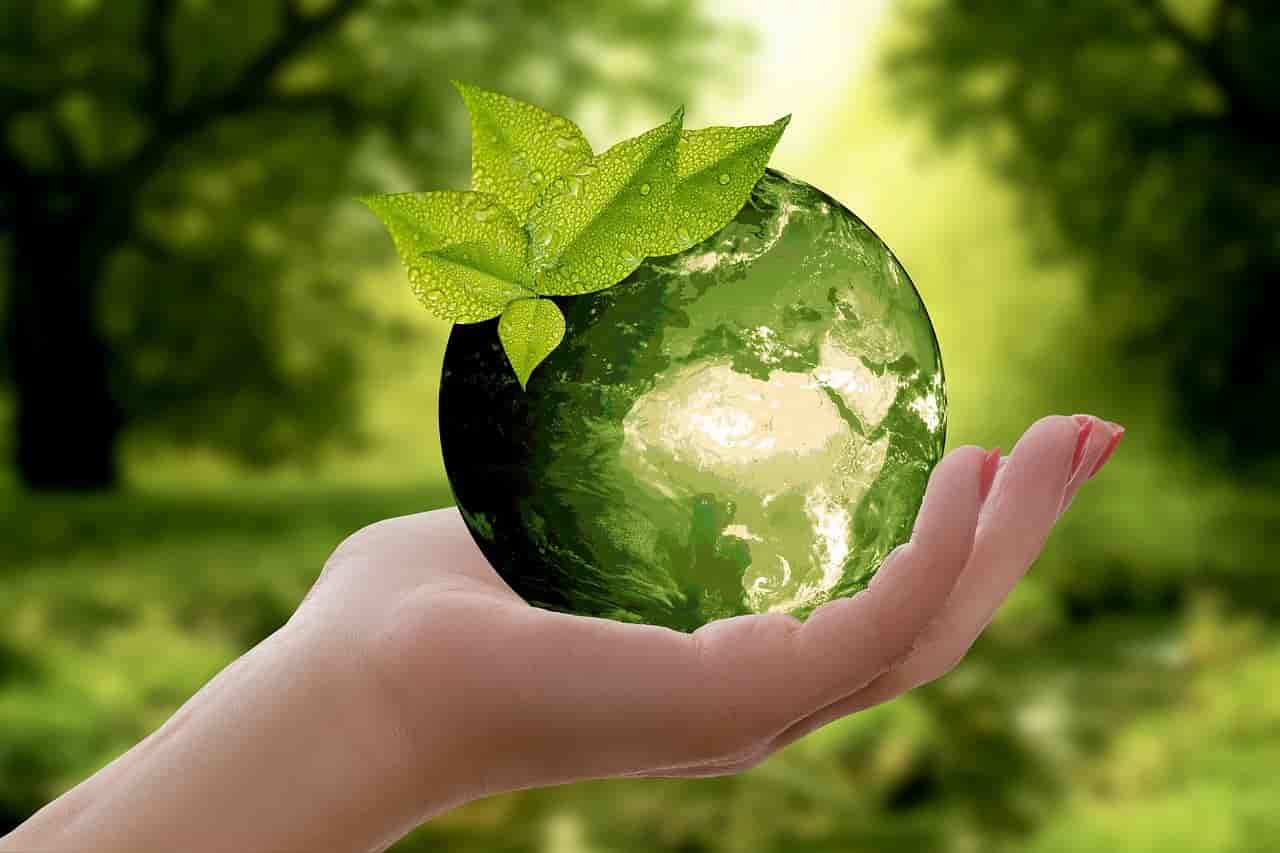 Grün, grün, grün ist mein IT-Equipment: Warum gebraucht nachhaltiger ist
